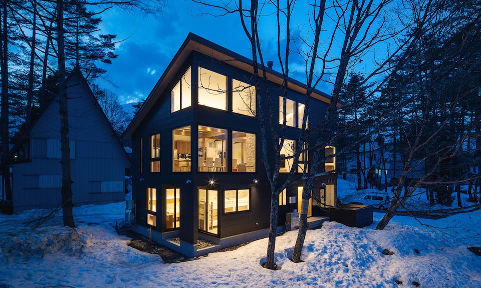 SILVER MAPLE HAKUBA