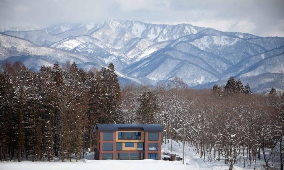 ONE HAPPO HAKUBA