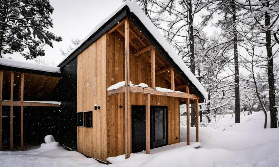 ORA D'ORO APARTMENT HAKUBA